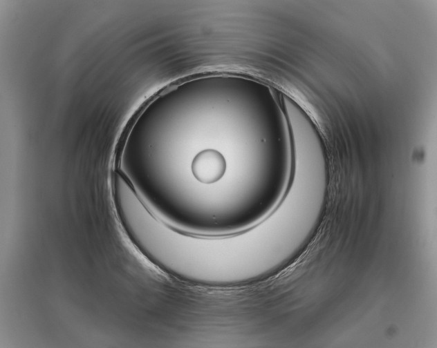 X0000097661084200803142127