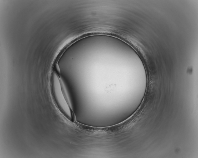 X0000097661085200803142127