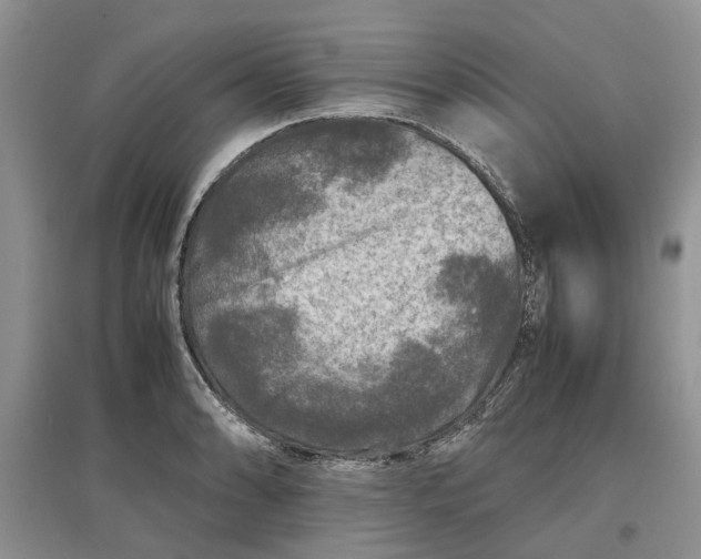 X0000097661086200803142127