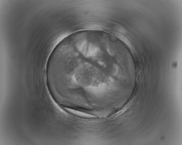 X0000097661087200803142127