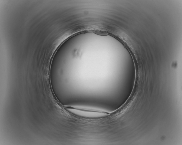 X0000097661089200803142127