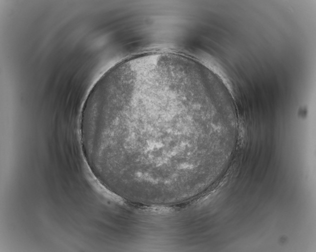 X0000097661090200803142127