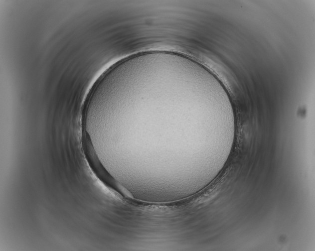 X0000097661092200803142127