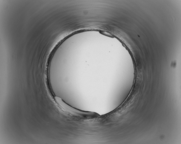 X0000097661093200803142126