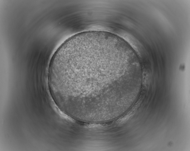 X0000097661094200803142126