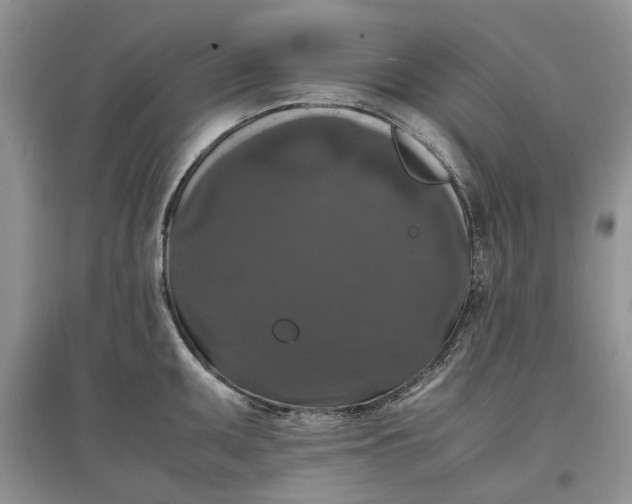 X0000097661095200803142126