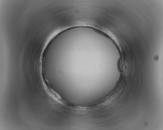 X0000097661096200803142126