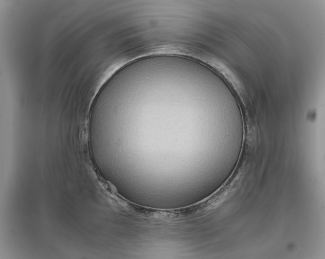 X0000097661097200803142126
