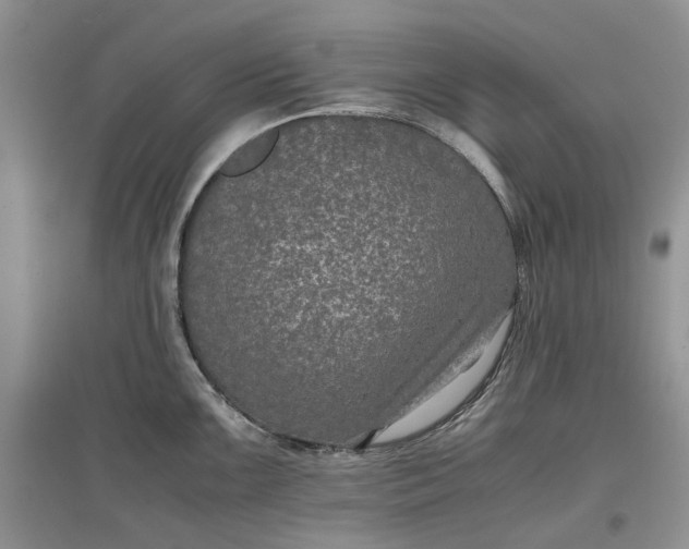 X0000097661099200803142126