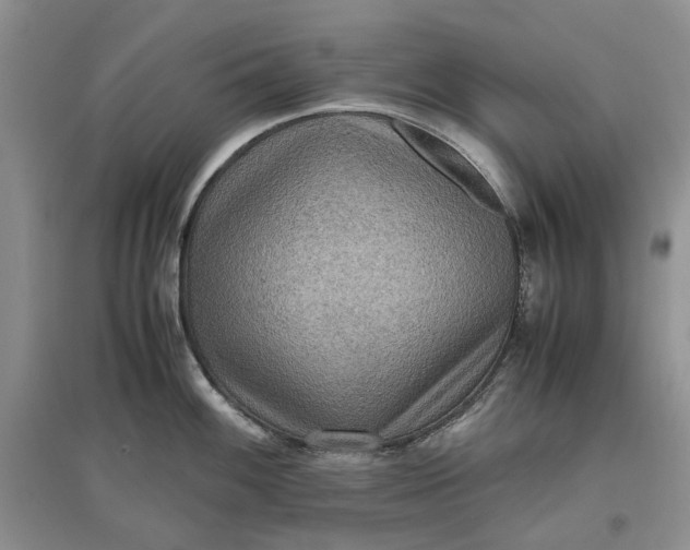 X0000097661100200803142126