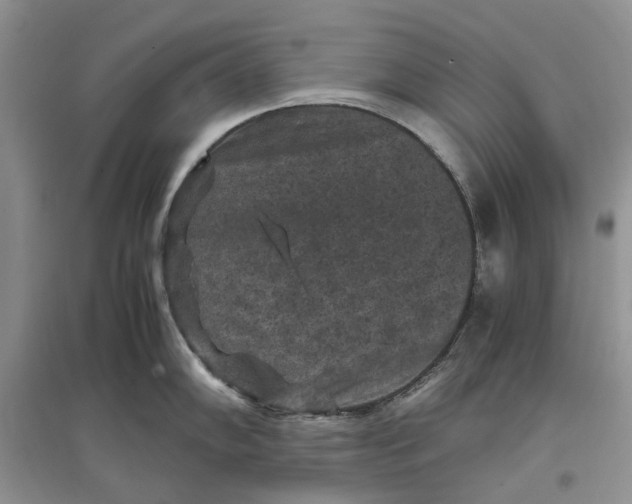 X0000097661102200803142126