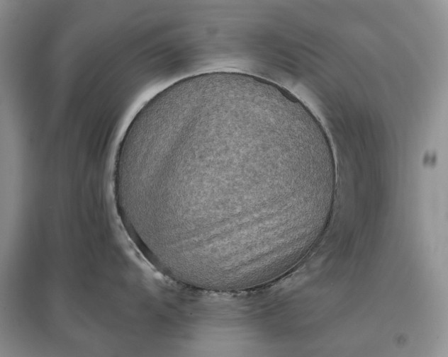 X0000097661104200803142126