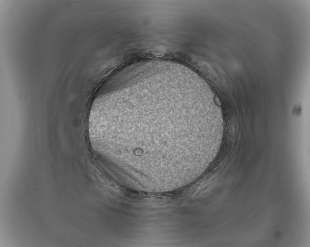 X0000097661105200803142126