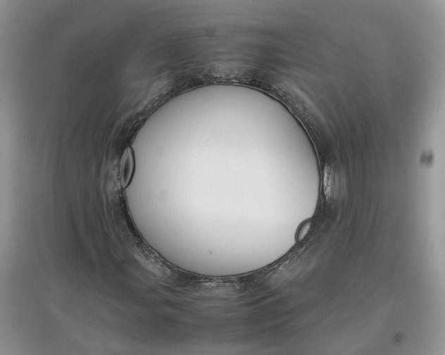 X0000097661107200803142126