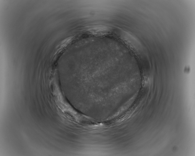 X0000097661108200803142126