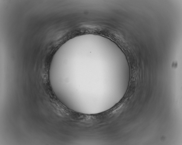 X0000097661109200803142126