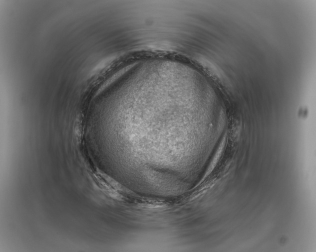X0000097661110200803142126