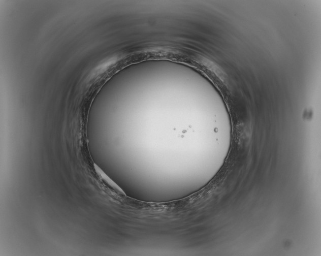 X0000097661111200803142126