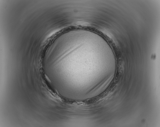 X0000097661112200803142126