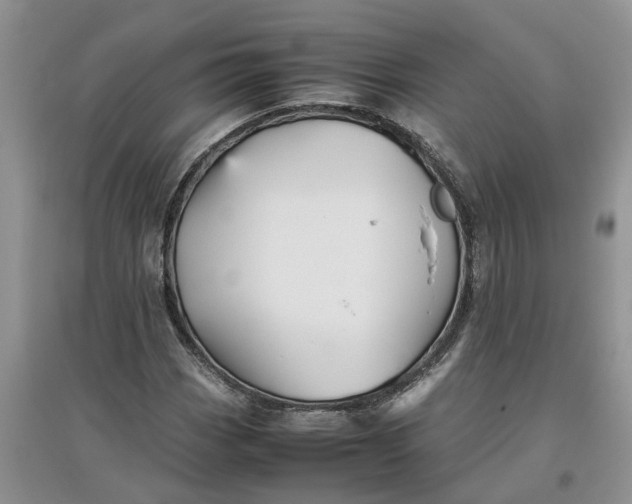 X0000097661113200803142126