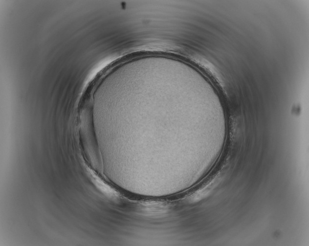 X0000097661114200803142126