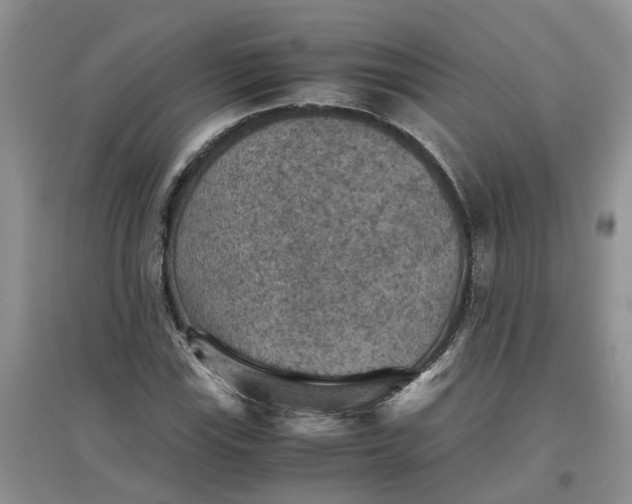 X0000097661115200803142126