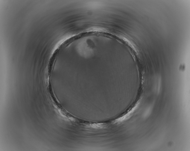 X0000097661117200803142126