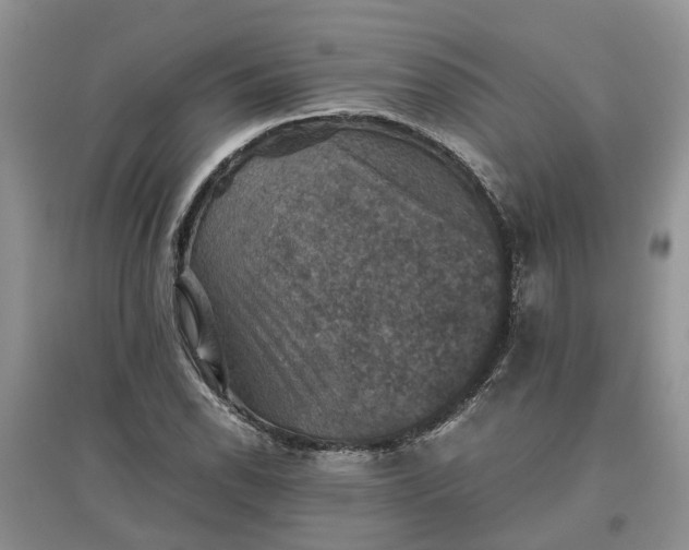 X0000097661118200803142126