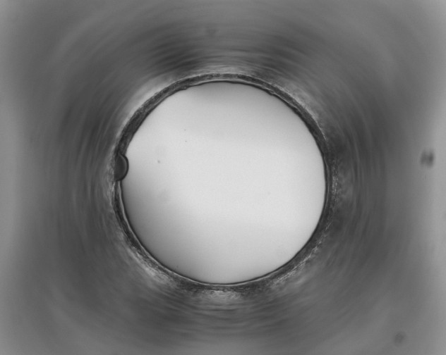 X0000097661119200803142126
