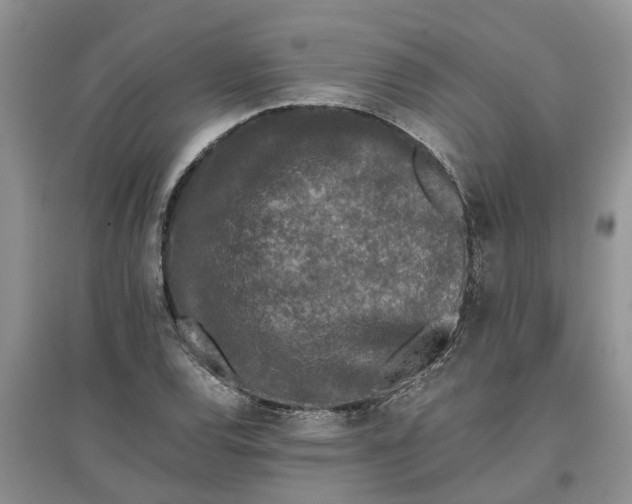 X0000097661120200803142126