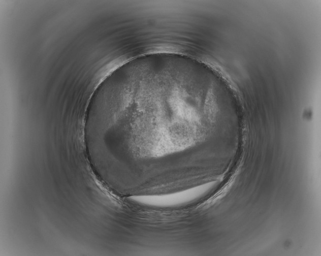 X0000097661121200803142126