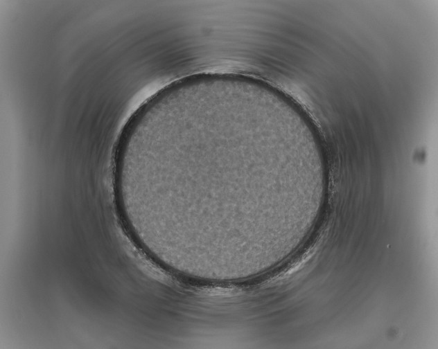X0000097661122200803142126