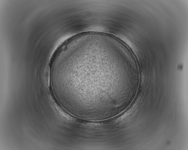X0000097661123200803142126