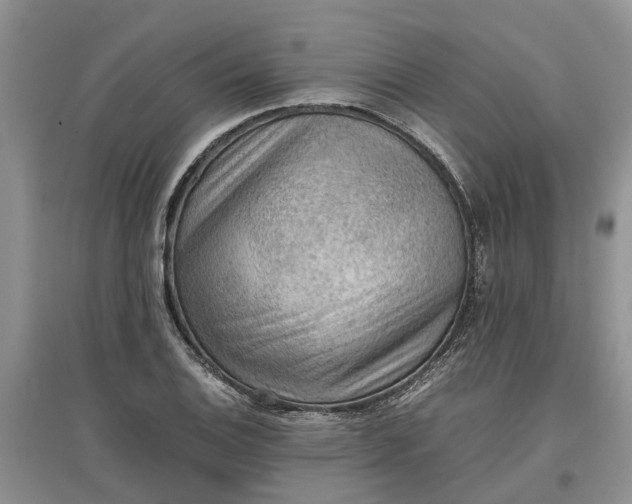 X0000097661124200803142126