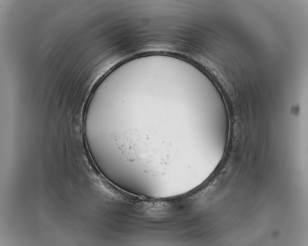 X0000097661129200803142126