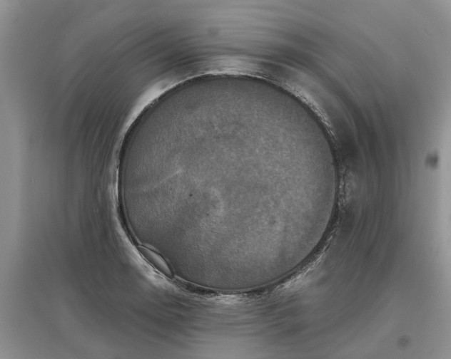 X0000097661130200803142126