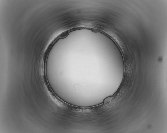 X0000097661131200803142126