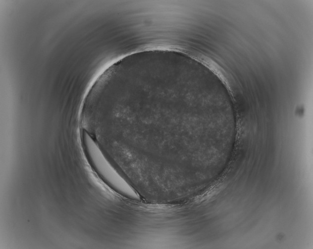 X0000097661132200803142126