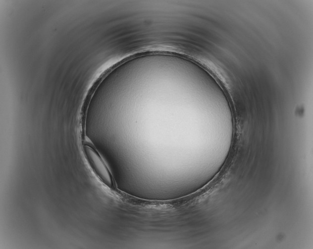 X0000097661133200803142126