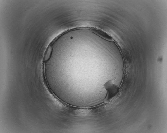 X0000097661134200803142126