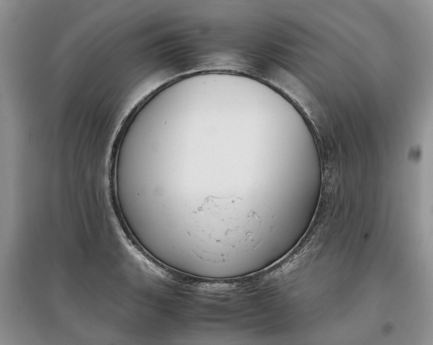 X0000097661135200803142126