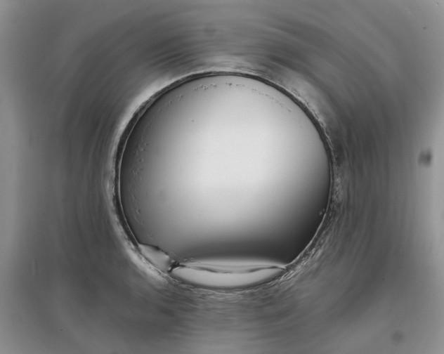 X0000097661136200803142126