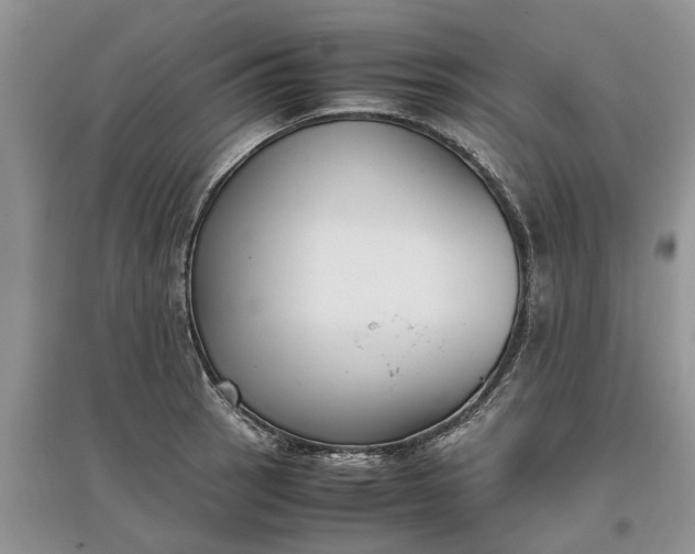 X0000097661137200803142126