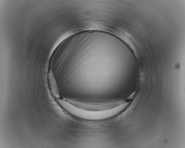 X0000097661138200803142126