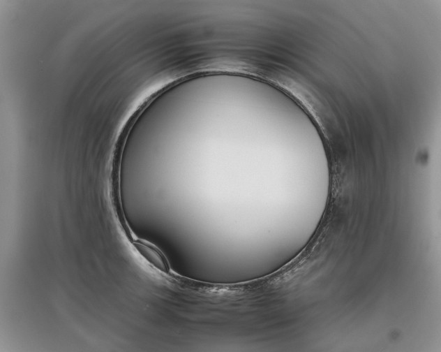 X0000097661139200803142126