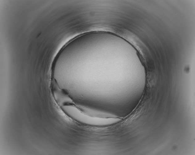 X0000097661140200803142126
