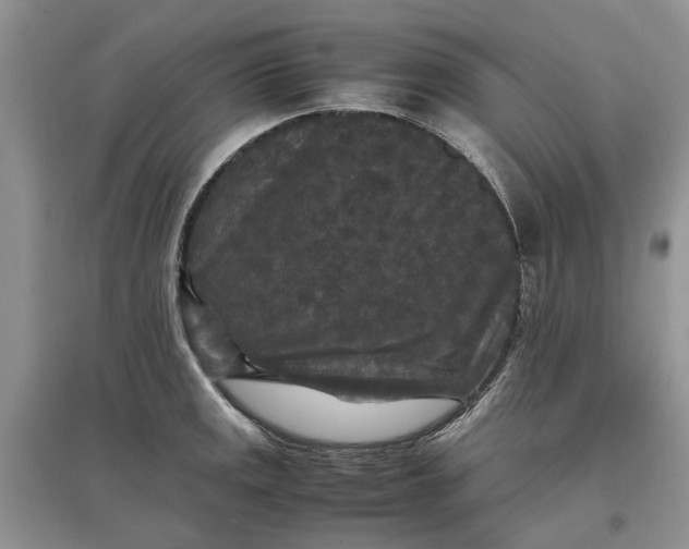 X0000097661141200803142126