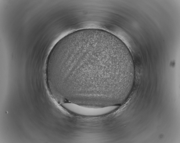 X0000097661142200803142126