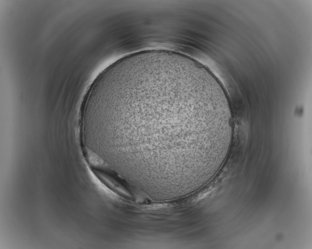 X0000097661143200803142126