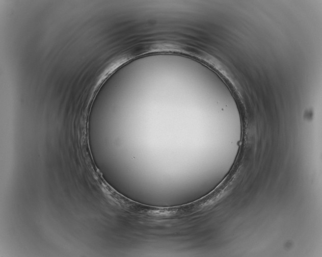 X0000097661145200803142126